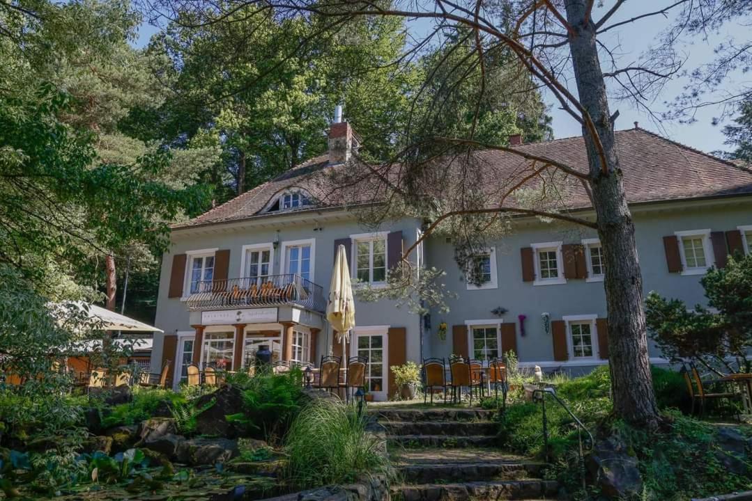 Hotel Und Restaurant Halbinsel Blieskastel Buitenkant foto