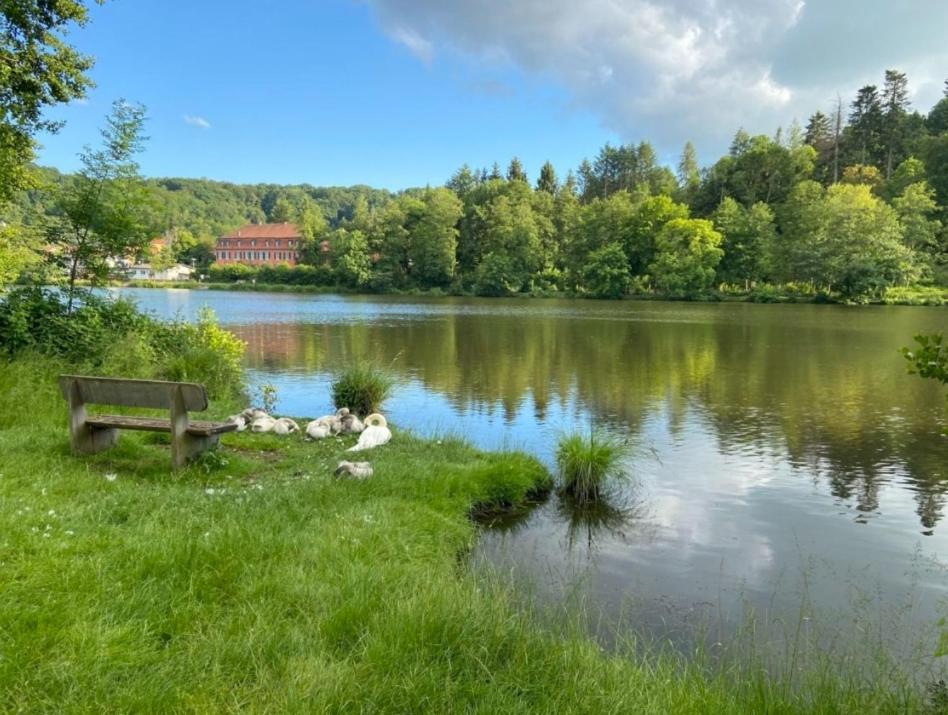 Hotel Und Restaurant Halbinsel Blieskastel Buitenkant foto